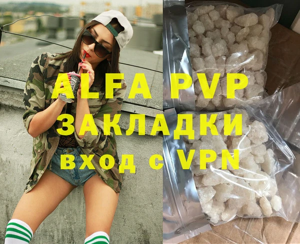 гашик Арсеньев