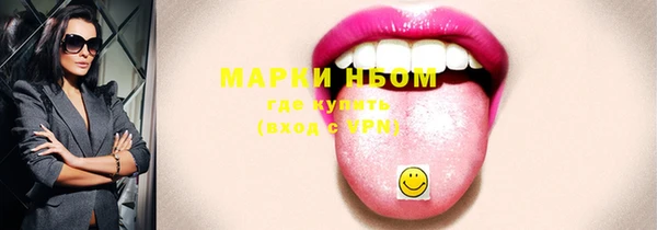 гашик Арсеньев