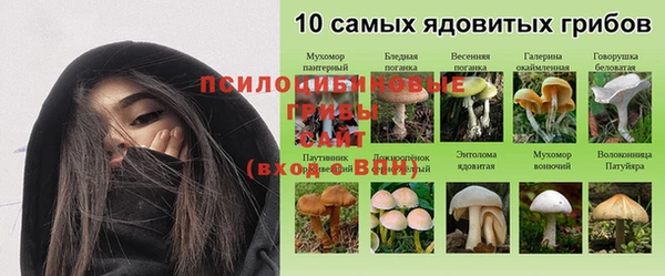 гашик Арсеньев