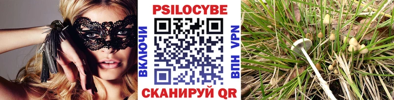 Галлюциногенные грибы MAGIC MUSHROOMS  Ленск 
